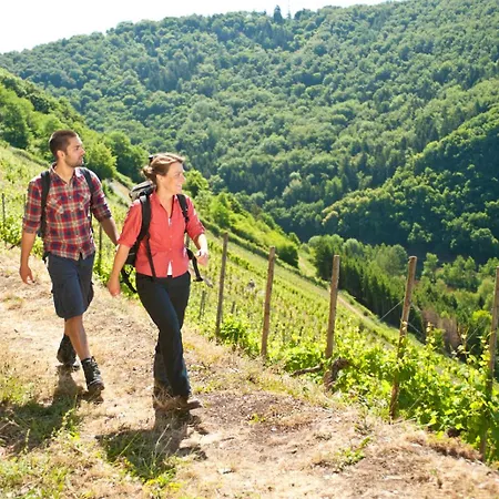 Szálloda Bad Emser Hof Bad Ems