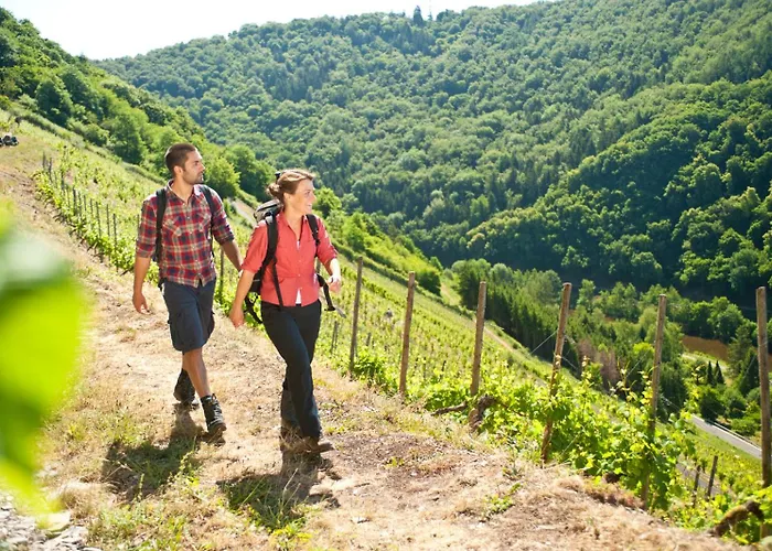 فندق Bad Emser Hof باد ايمس